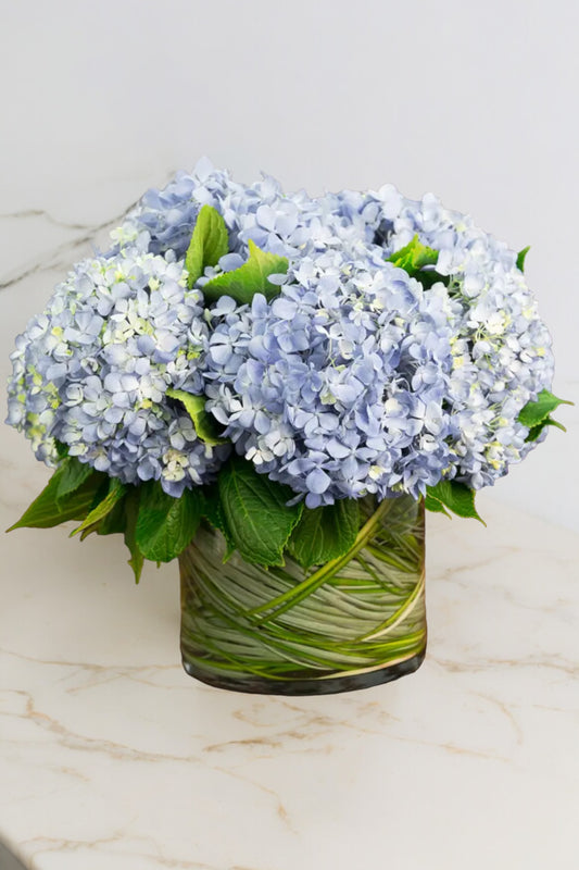 Rhapsody In Blue