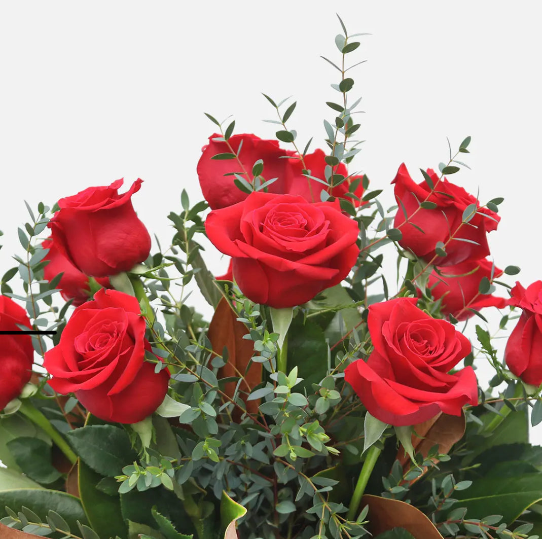 Grandeur Long Stem Rose Arrangement